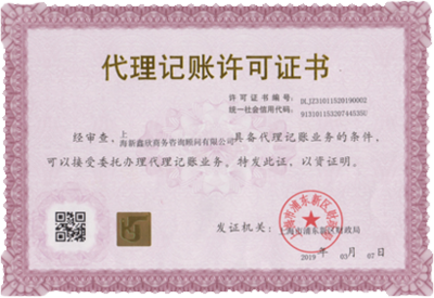 上海新鑫欣 专业代理记账与工商财税一站式服务